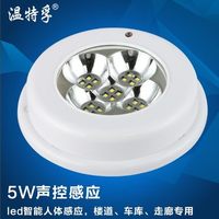温特孚 LIGHTSTAND 温特孚 led吸顶灯 5W 智能声控感应+光控