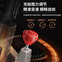 立久佳动感单车家用智能运动器材室内静音自行车小型 D100 燃脂小魔方版/16斤飞轮组