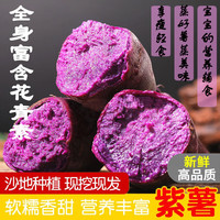 闽农语果【农品/优选】云南沙地紫薯新鲜蔬菜番薯紫地瓜农家自种紫心红薯 家庭装 9斤 【单果1-2两】