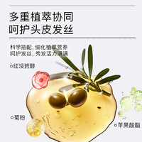 【12日早10付定！交个朋友618】黛丝恩致美控油丰盈清爽洗护450ml