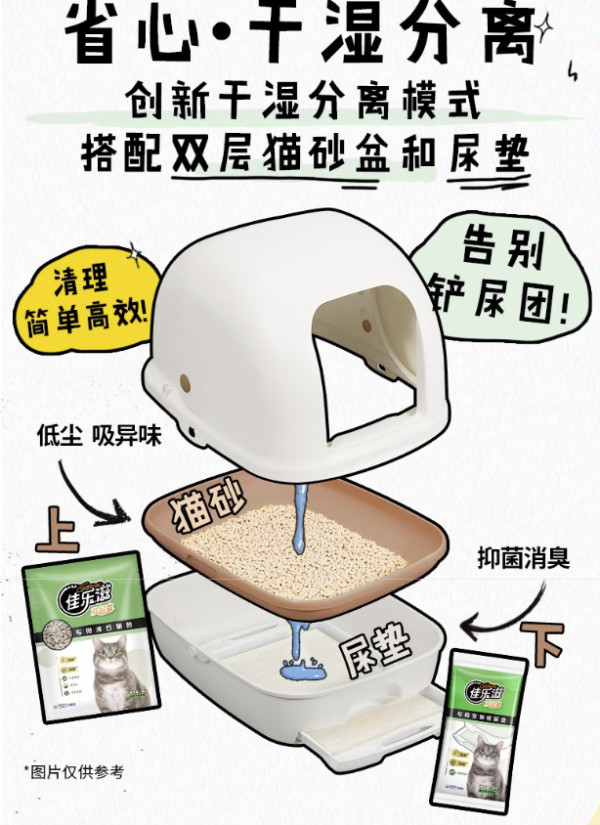 铲屎官的深夜崩溃，谁懂？