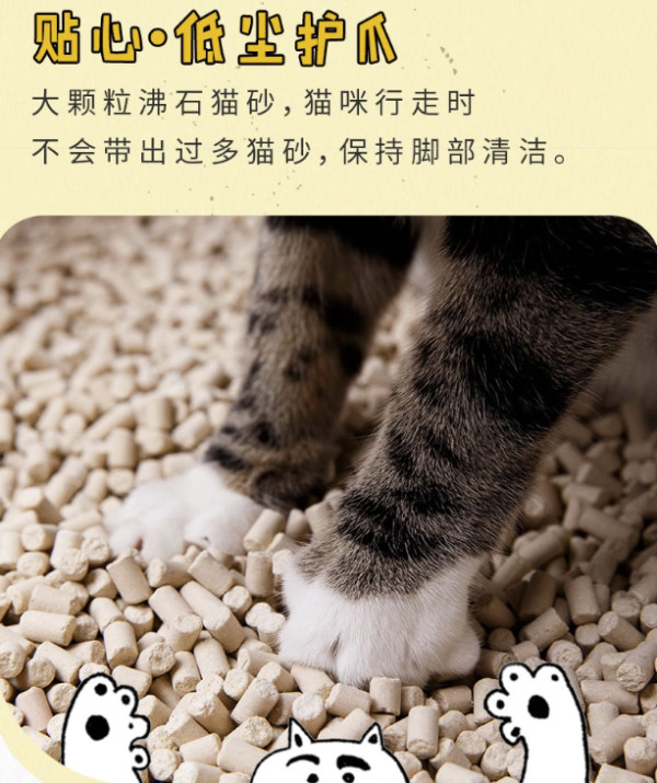 铲屎官的深夜崩溃，谁懂？