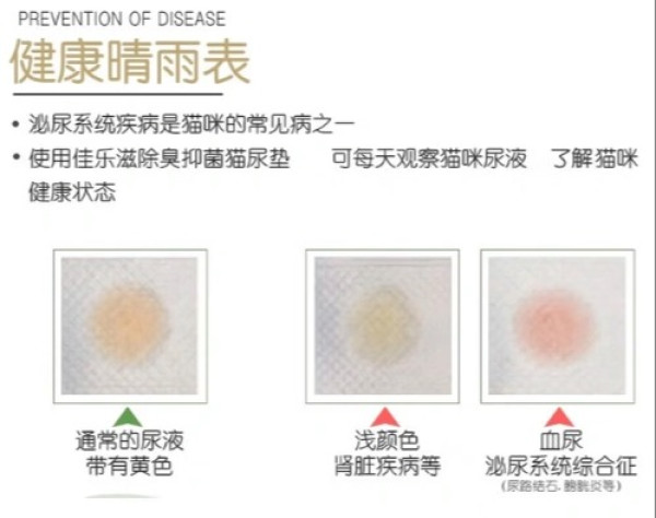 铲屎官的深夜崩溃，谁懂？