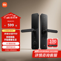 小米 Xiaomi XMZNMST10LK 智能门锁 E30
