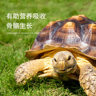 REPTIZOO爬虫uvb灯变色龙10.0爬宠5.0蜥蜴灯泡宠物乌龟晒背灯