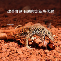 REPTIZOO爬宠UVA加热灯爬虫蜥蜴刺猬乌龟晒背陶瓷加热灯用品 月光宝红外灯 50W