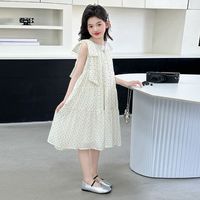 小排靓 女童2025夏装连衣裙新款儿童公主小女孩洋气中大童夏季裙子