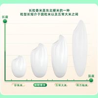 【中】十月稻田长粒香米10kg东北粳米20斤嚼劲锁鲜店