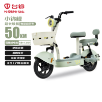 台铃 电动自行车续航50km石墨烯电池48V13AH小锦鲤 碧波绿