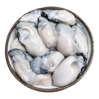 一虾一世界鲜活现剥去壳大号生蚝肉/ 新鲜速冻牡蛎肉海蛎子火锅烧烤 3斤装 *6【固形物80%】