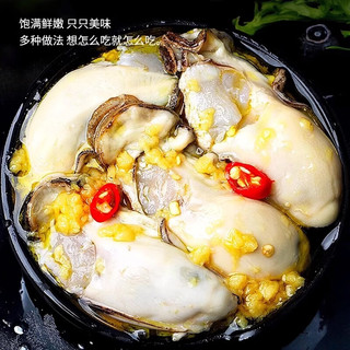 一虾一世界鲜活现剥去壳大号生蚝肉/ 新鲜速冻牡蛎肉海蛎子火锅烧烤 3斤装 *6【固形物80%】