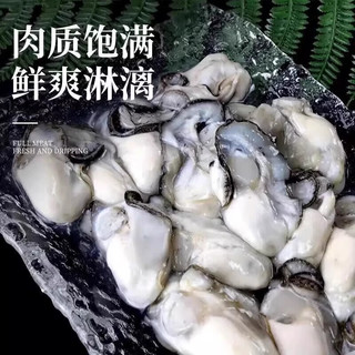 一虾一世界鲜活现剥去壳大号生蚝肉/ 新鲜速冻牡蛎肉海蛎子火锅烧烤 3斤装 *6【固形物80%】
