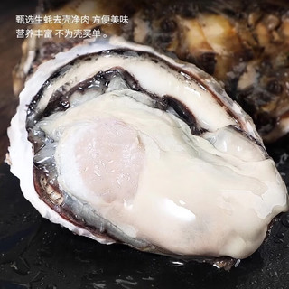 一虾一世界鲜活现剥去壳大号生蚝肉/ 新鲜速冻牡蛎肉海蛎子火锅烧烤 3斤装 *6【固形物80%】