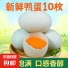 鸭蛋新鲜生鸭蛋土鸭蛋农家散养绿壳青皮鸭蛋10枚整箱批发 50g-60g