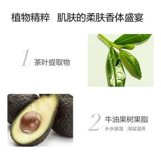 【淡雅清逸】雅顿馥郁白茶香水身体组套白茶身体乳持久留香