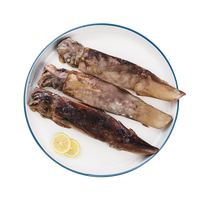 美加佳冷冻整只大鱿鱼净重烧烤食材 铁板鱿鱼 烧烤食材