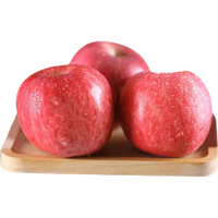 农夫山泉17.5°苹果甘肃静宁 9粒装 净重 单果克重≥220g  水果礼盒