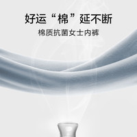 欧迪芬内裤女中腰棉质拼款盒装内裤礼盒装*3+袜子*3XK2A03CW 三混色2:软玉紫+晴空蓝+香蜜黄
