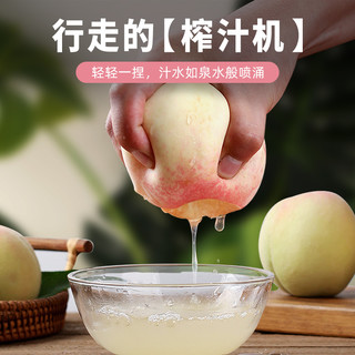 正宗无锡阳山水蜜桃现摘现发水果新鲜白凤湖景礼盒水蜜桃旗舰店