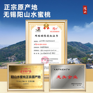 正宗无锡阳山水蜜桃现摘现发水果新鲜白凤湖景礼盒水蜜桃旗舰店