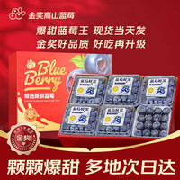 梦芷 云南花香蓝莓新鲜当季超大果18mm+非怡颗 精选大果|80%人选 6盒|畅吃装