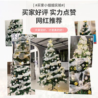 圣诞树2024家用客厅diy圣诞节装饰品套餐创意摆件高级感