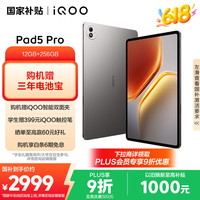 iQOO Pad5 Pro 12GB+256GB灰晶天玑9400+ 13英寸 高亮电竞屏 12050mAh 超长续航