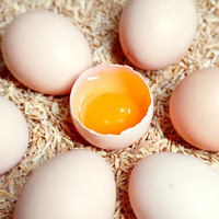 天厚玄鸟散养农家土鸡蛋谷物土鸡蛋45±5g山林散养新鲜鸡蛋土鸡蛋 土鸡蛋45±5g*30枚