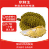 京觅 金枕头榴莲 3-3.5kg