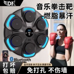 DK 智能计数音乐拳击机 墙靶 家用成人儿童散打拳沙袋训练器材