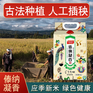 谷天纯大米  当季云南高原现磨新长粒籼米 傣纳凝香 10斤 长粒籼米 滇傣纳凝香5kg