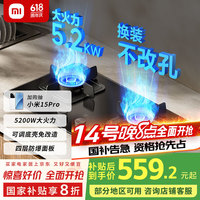 米家 MIJIA 小米智能燃气灶S2 嵌入式家用煤气灶双灶具5.2kW猛火 烟灶联动 底座可调节MJ01D天然气