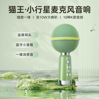 猫王音响 小行星无线麦克风音响一体话筒家用K歌手机K歌宝智能降噪超长续航派对娱乐家庭KTV 幽邃绿