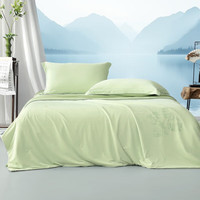 百丽丝家访抗菌凉感有机蚕丝夏被夏凉被空调被A类透气蚕丝被薄被子夏天 绘山河·嫩枝绿抗菌凉感蚕丝夏被 220cm*240cm