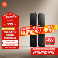 小米 Xiaomi XMZNMST10LK 智能门锁 E30