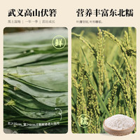 诸老大粽子嘉兴产肉粽中华老字号 端午节 洗沙+蜜枣赤豆粽1300g(130g*10)