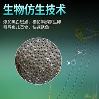 进口鱼线主线正品超柔软绑钩专用子线全套超强拉力斑点隐形尼龙线