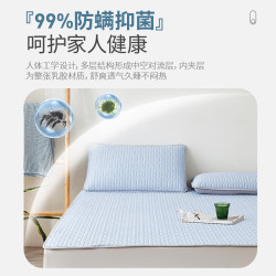paratex 乳胶凉席三件套 1.5m*2m 迷雾蓝