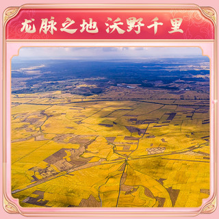 SHI YUE DAO TIAN/十月稻田 香米 东北大米  袋装 10斤
