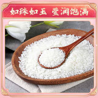  SHI YUE DAO TIAN/十月稻田 香米 东北大米  袋装 10斤