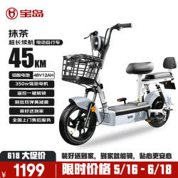 宝岛电动车 BODO 宝岛新国标电动车抹茶48V12Ah铅酸电池代步长续航电动自行车岩石灰