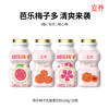 宜养 芭乐梅子乳饮 100g*20瓶