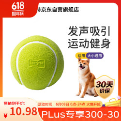 宜特 EETOYS 绿色网球狗狗玩具趣味发声柔软可水洗洁齿球互动宠物用品