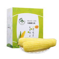 金良玉地 黑龙江有机白糯玉米 2.88kg 12支