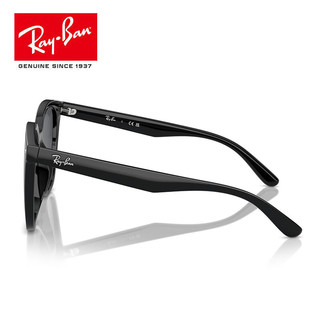 雷朋（Ray.Ban）太阳镜 时尚潮搭墨镜男女开车驾驶遮阳 0RB4423D 601/87 601/87-深灰色非偏光镜片-尺码66