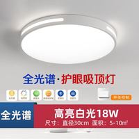 HULDRA 2024年led吸顶灯房间卧室灯客厅灯大厅现代简约大气中山灯具 Φ30cm-白光18W