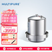 美而浦 MULTIPURE可贝元美国原装进口厨下净水器家用自来水过滤器