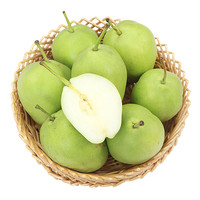 美香农场 陕西 酥梨 脆梨 梨子 时令生鲜 2.5-3斤