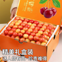 千朵云 黄蜜黄水晶樱桃 纯甜大樱桃 当季山东烟台国产樱桃水果 500克 5斤 家庭装
