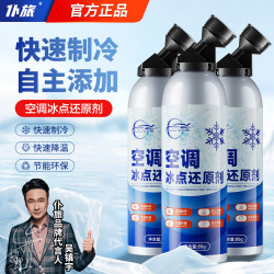 仆旅 bdyhj 汽车空调冰点还原剂 85g